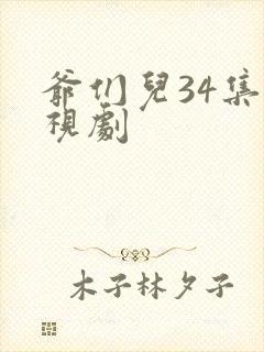 爷们儿34集电视剧