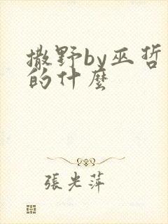 撒野by巫哲讲的什么