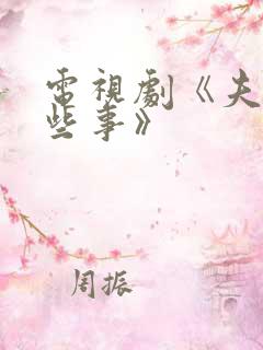 电视剧《夫妻那些事》