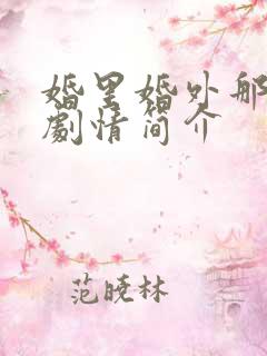 婚里婚外那些事剧情简介