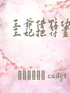 王爷借点功德,王妃把符画猛了笔趣阁