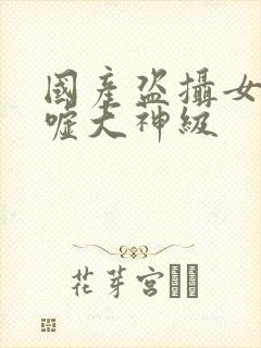 国产盗摄女厕嘘嘘大神级