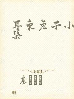 耳东兔子小说合集