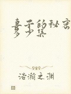 妻子的秘密一共多少集