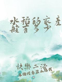 水稻的亩产量一般有多少