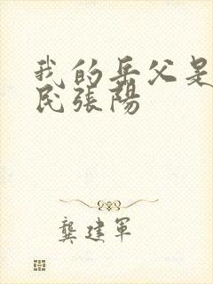 我的岳父是李世民张阳