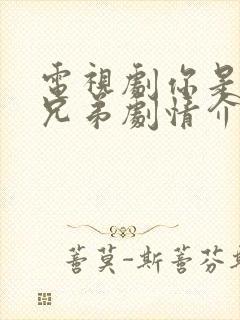 电视剧你是我的兄弟剧情介绍