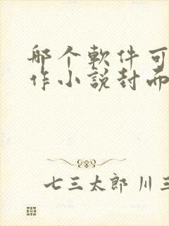 哪个软件可以制作小说封面