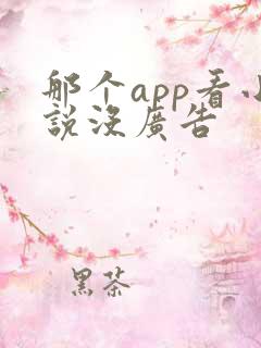 那个app看小说没广告