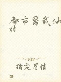 都市医武仙尊txt