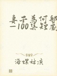 妻子为何那样1—100集短剧免费看