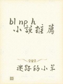 bl np h 小说推荐