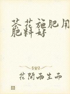 茶花施肥用什么肥料好