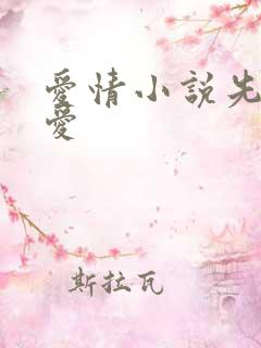 爱情小说先婚后爱