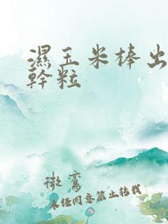 湿玉米棒出多少干粒
