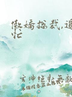傲娇总裁,追妻忙