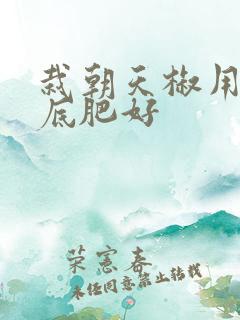 栽朝天椒用什么底肥好