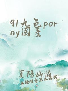 91九色porny国产