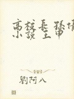 高校长 孙倩 小说 王申