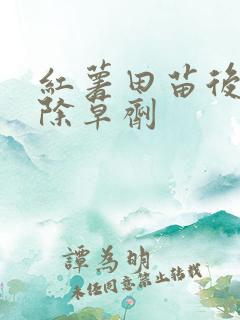 红薯田苗后专用除草剂