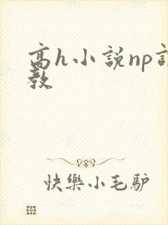 高h小说np调教
