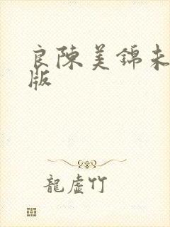 良陈美锦未删减版