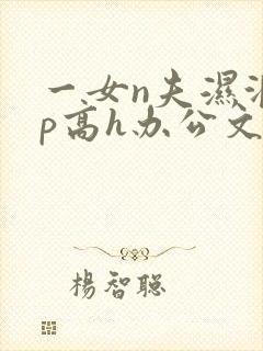 一女n夫湿润np高h办公文