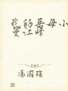 我的岳母小说沈曼江峰