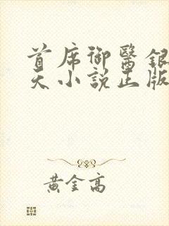 首席御医银河九天小说正版免费