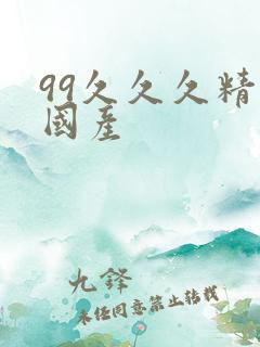 99久久久精品国产