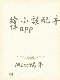给小说配音的软件app