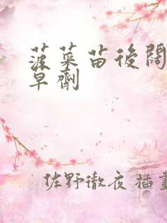 菠菜苗后阔叶除草剂