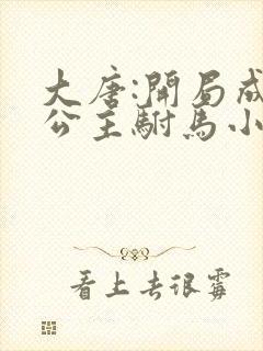 大唐:开局成了公主驸马小说全部章节