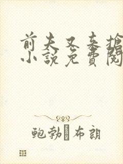 前夫又来抢萌宝小说免费阅读