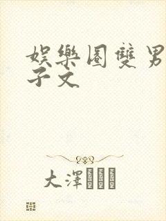 娱乐圈双男主生子文