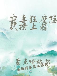 宠妻狂魔隐婚总裁撩上瘾