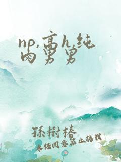 np,高h,纯肉男男