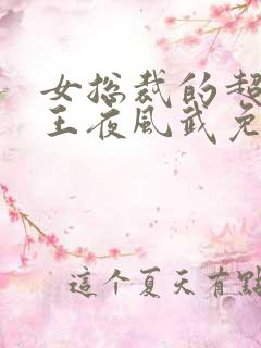 女总裁的超级兵王夜风武免费阅读全文
