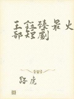 王钰臻最火的十部短剧
