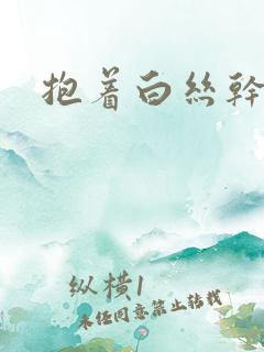 抱着白丝干小说