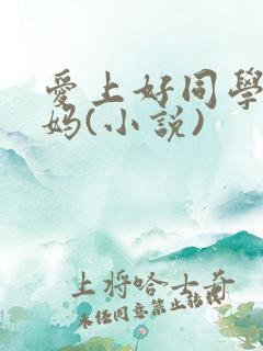 爱上好同学的妈妈(小说)