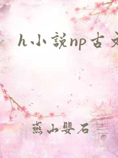 h小说np古文