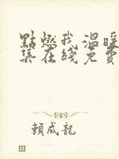 点燃我温暖你全集在线免费观看