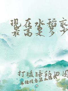 现在水稻亩产量最高是多少