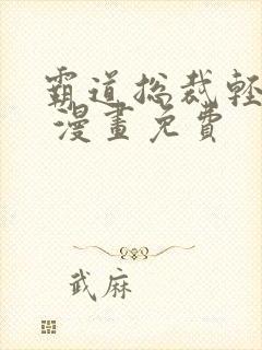 霸道总裁轻点爱 漫画免费