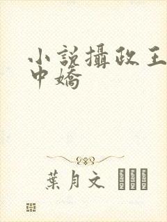 小说摄政王的掌中娇