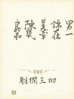 良陈美锦男女主第几章在一起