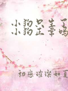 小狗只生了一只小狗正常吗