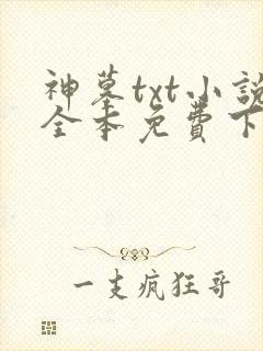 神墓txt小说全本免费下载