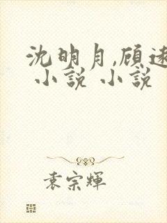 沈明月,顾远舟 小说 小说